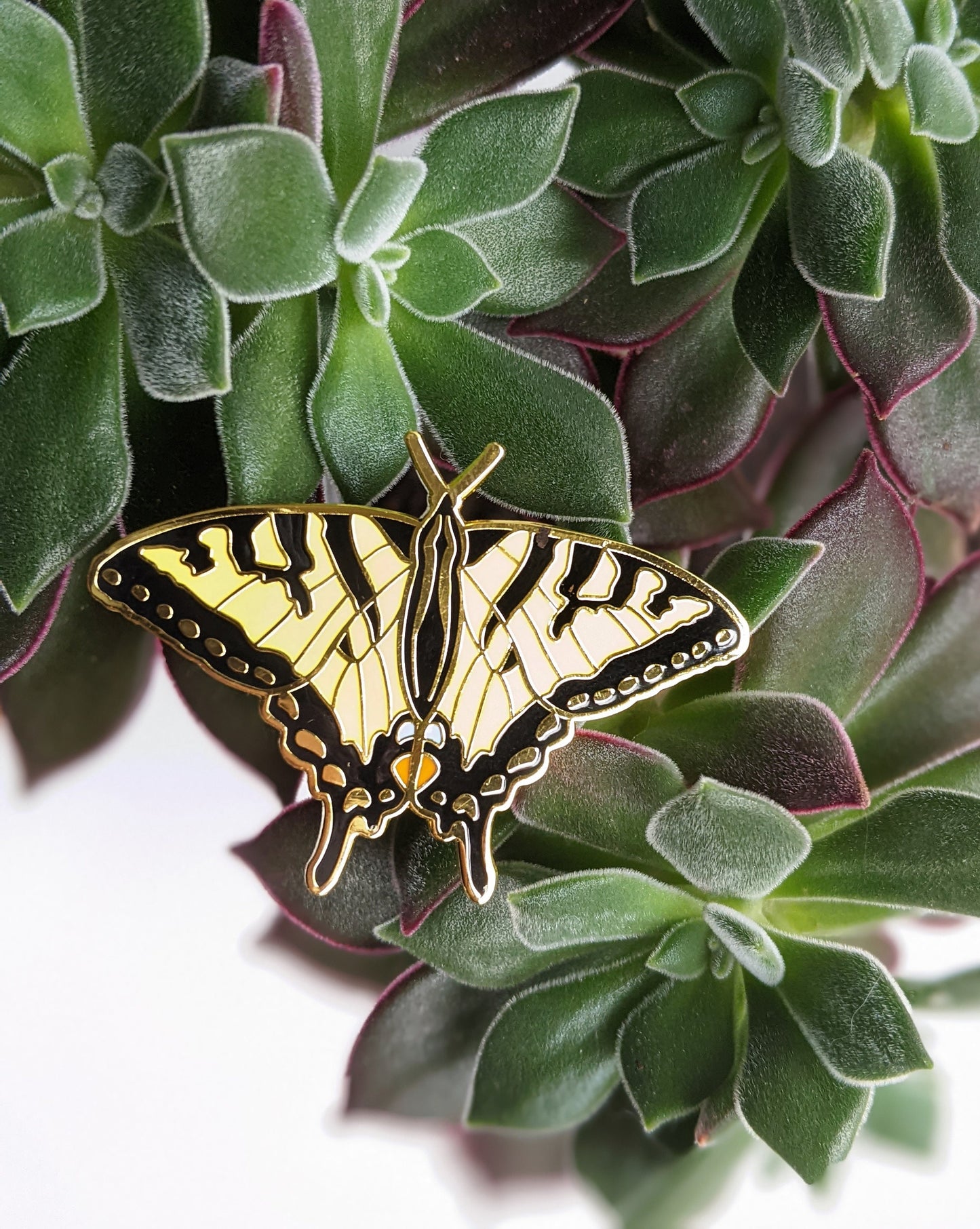 Canadian Tiger Swallowtail Butterfly hard enamel pin