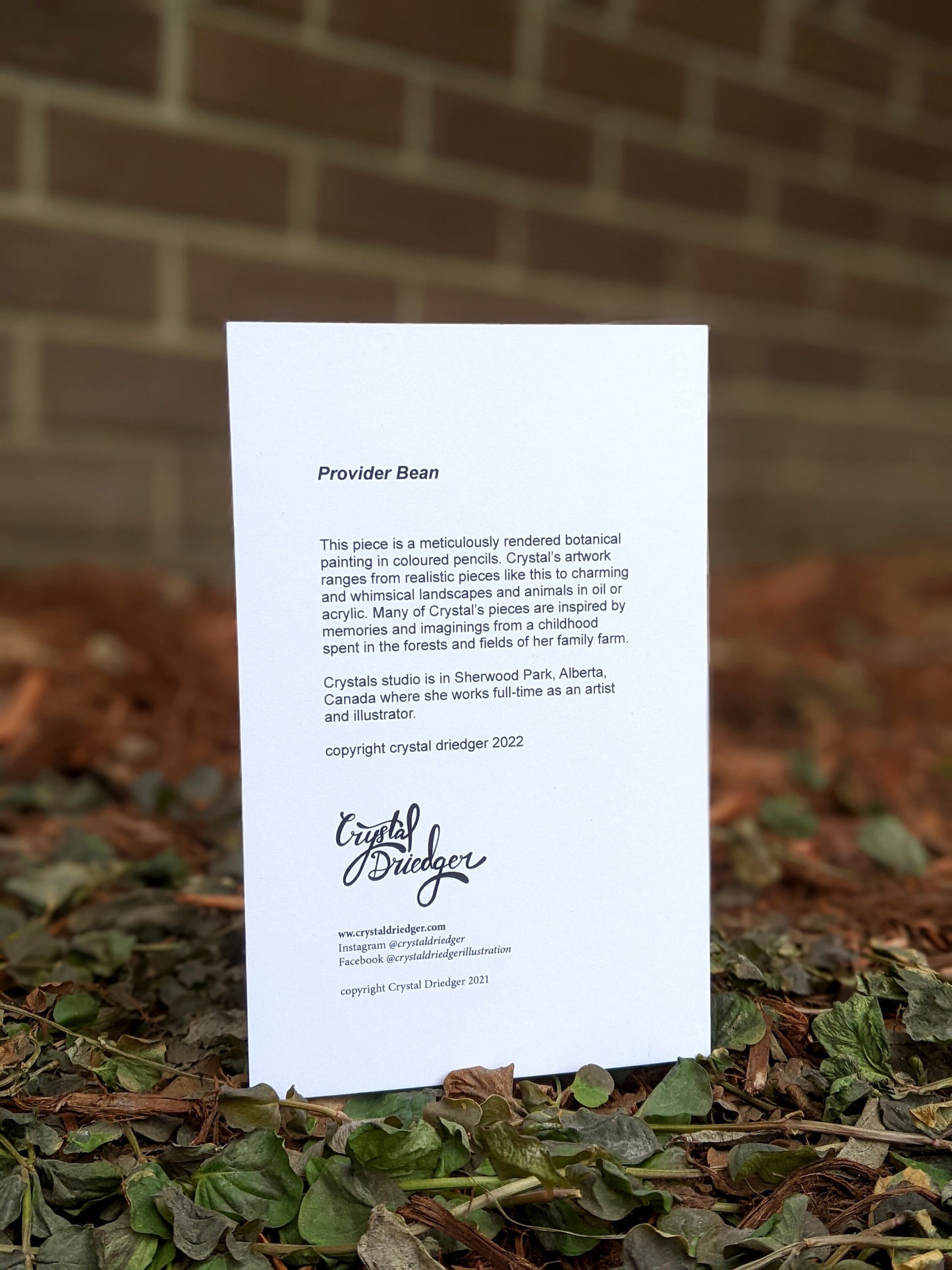 Provider Bean Art Card