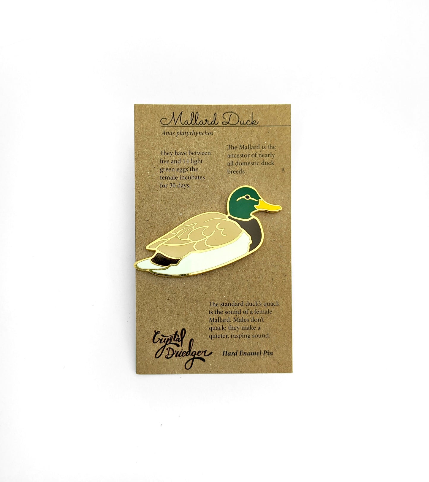 Mallard Male - hard enamel Pin in Gold