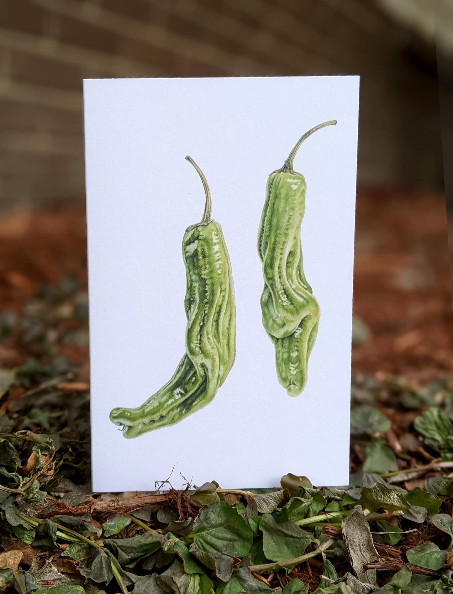 Shishito Peppers Art Card (Blank Inside) Note Card