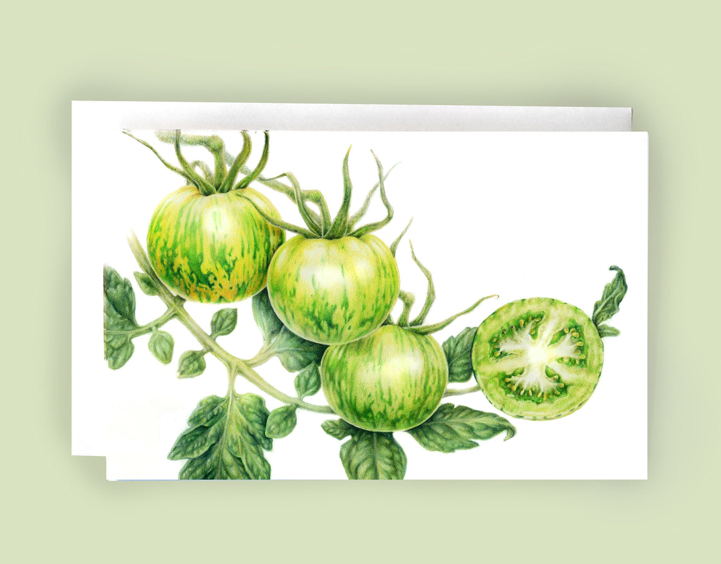 Green Zebra Tomato Art Card (Blank Inside) Note Card