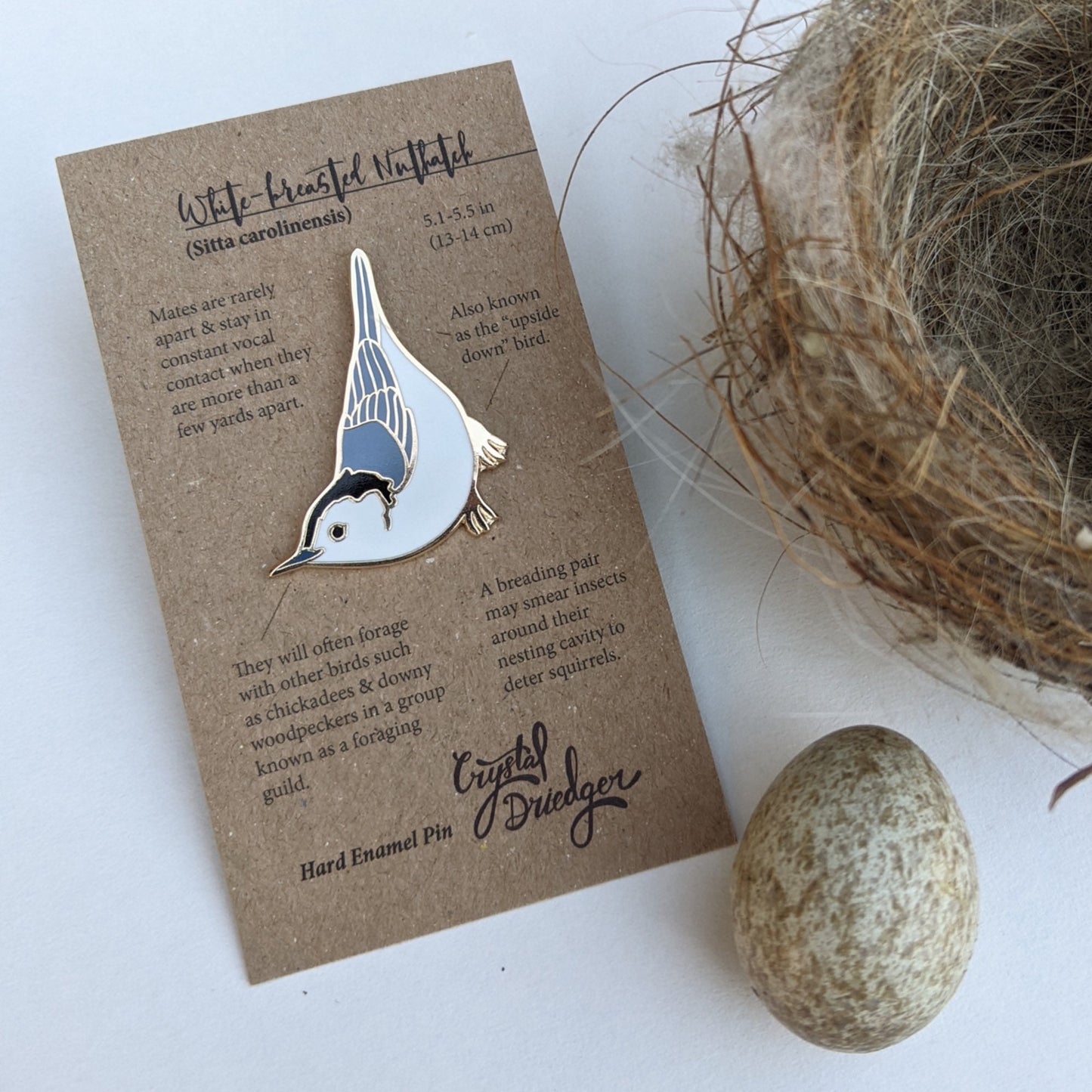 White Breasted Nuthatch hard enamel pin