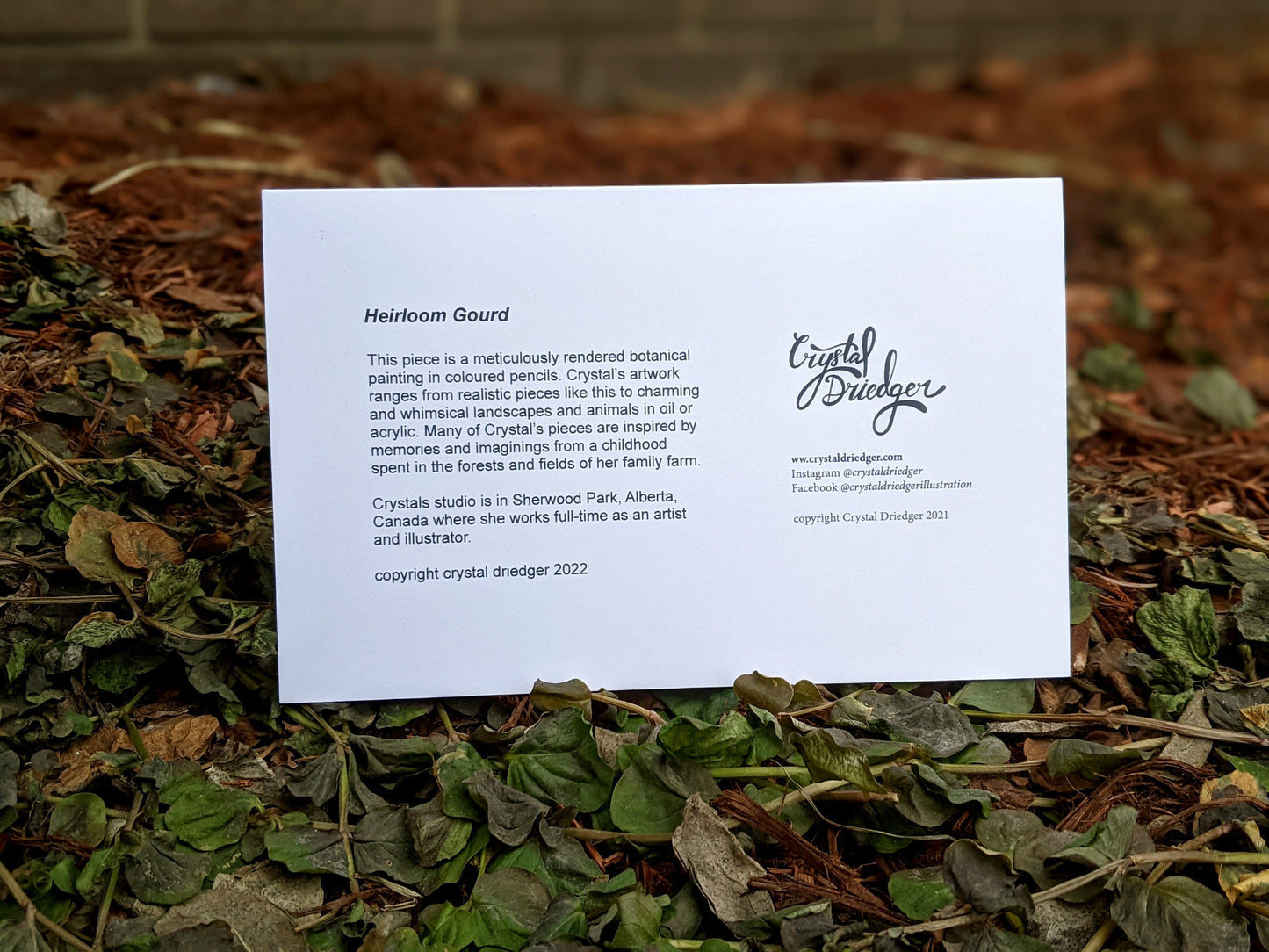 Heirloom Gourd Art Card (Blank Inside) Note Card