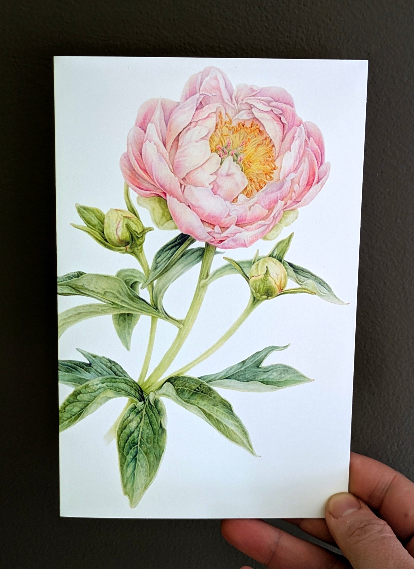 Abalone Pearl Peony Card