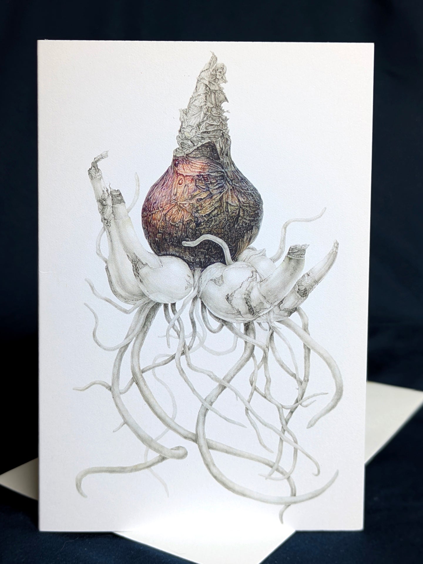 Patience and Persistence (Amaryllis Bulb) Card