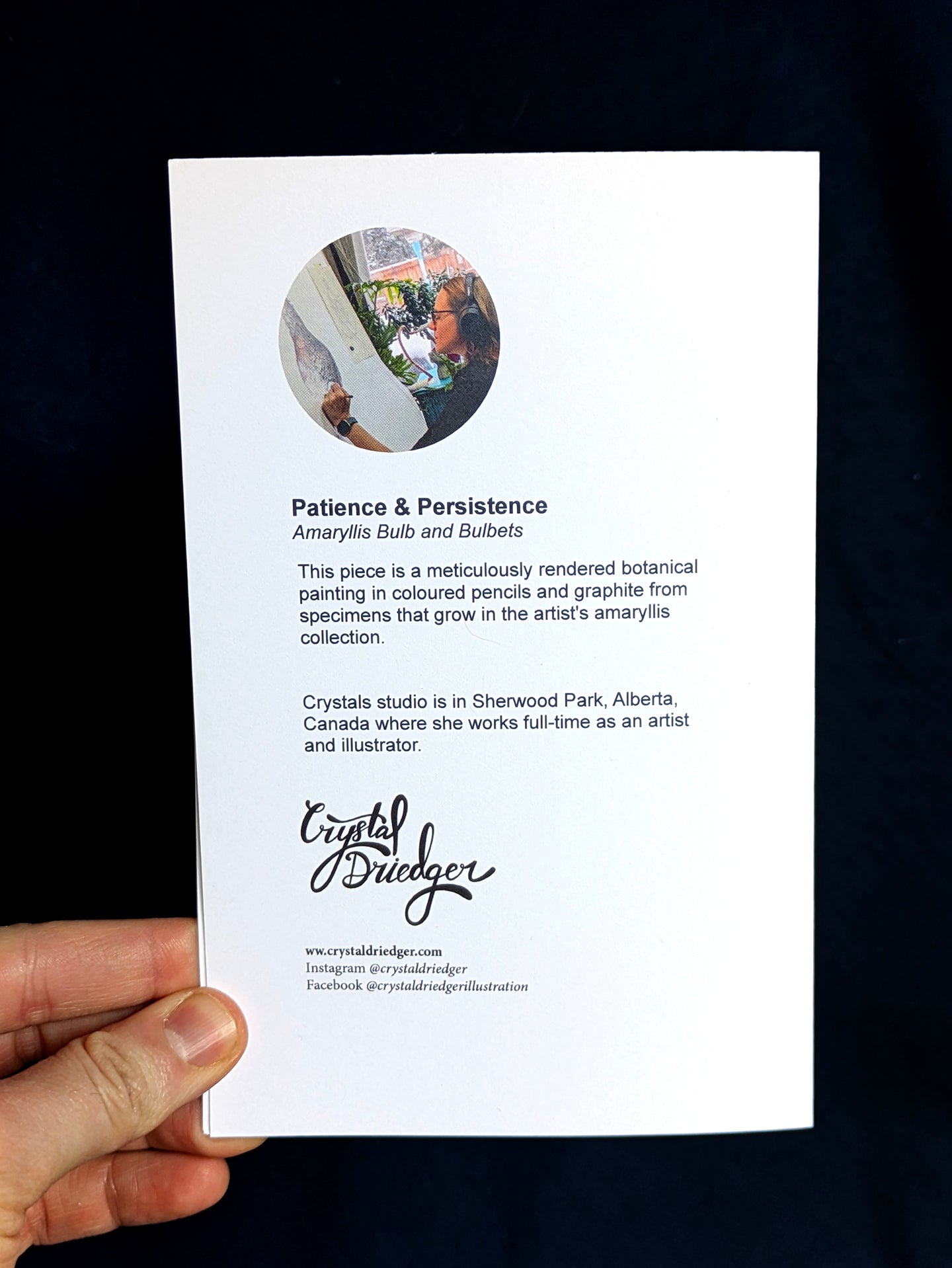 Patience and Persistence (Amaryllis Bulb) Card