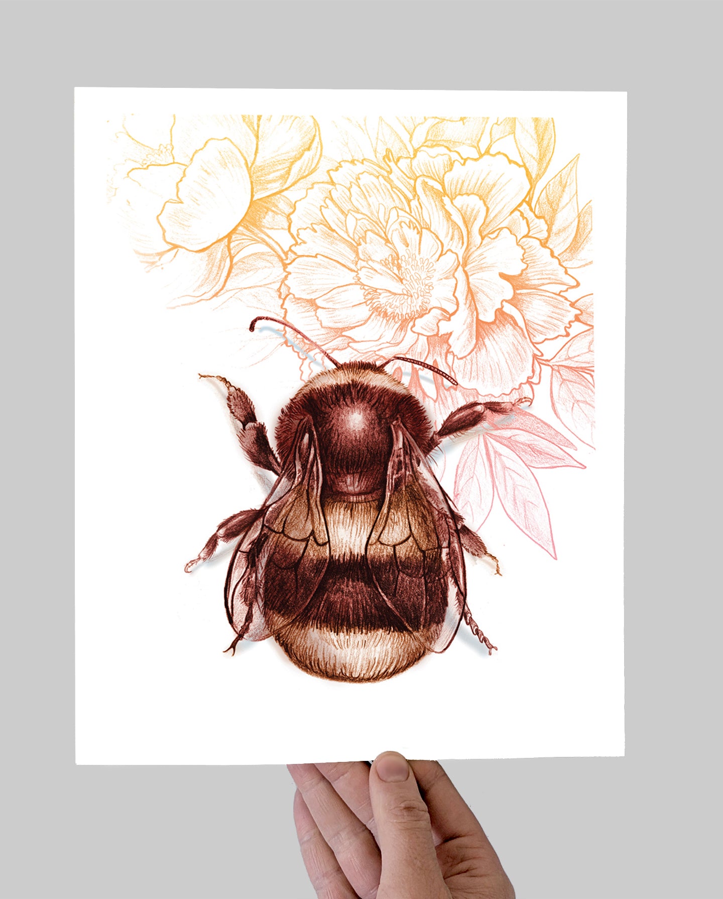 Bee & Peonies Giclee Print