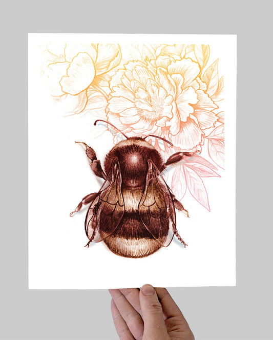 Bee & Peonies Giclee Print