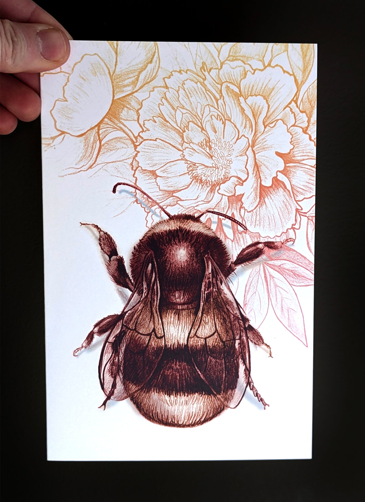 Bee & Peonies Card