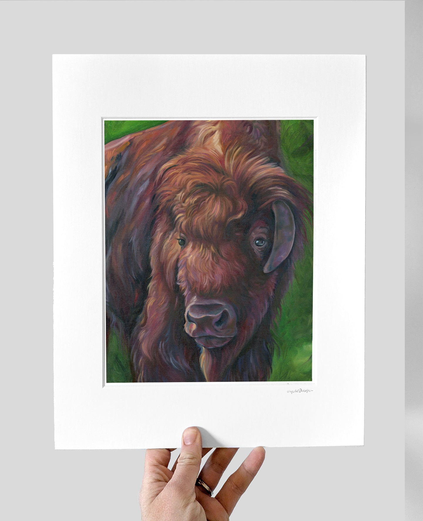 Gentle Bison Giclee Print