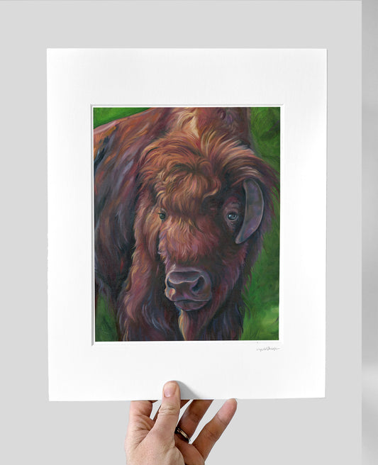 Gentle Bison Giclee Print