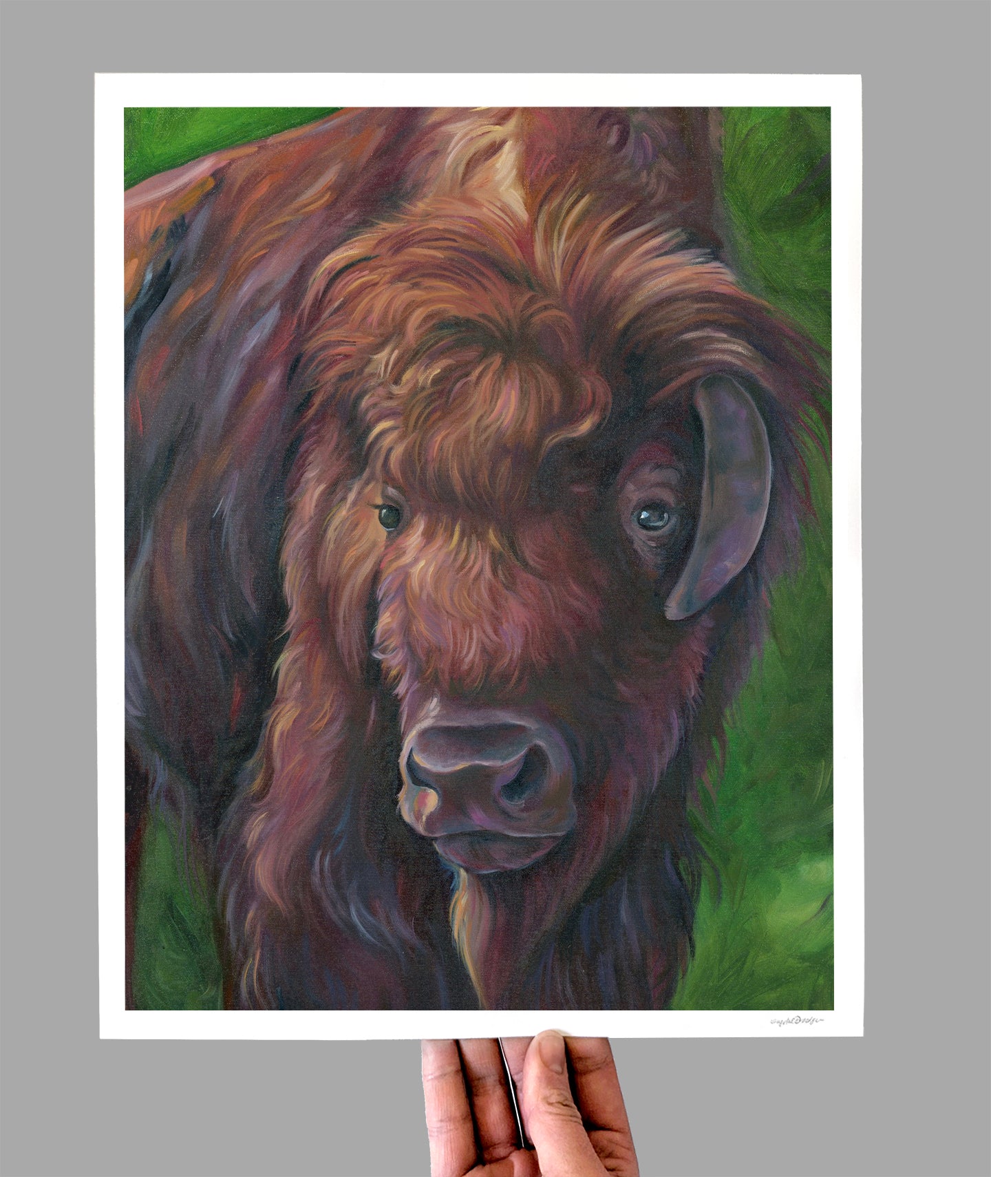 Gentle Bison Giclee Print