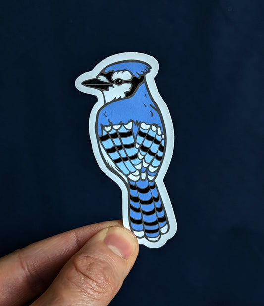 Bluejay Sticker