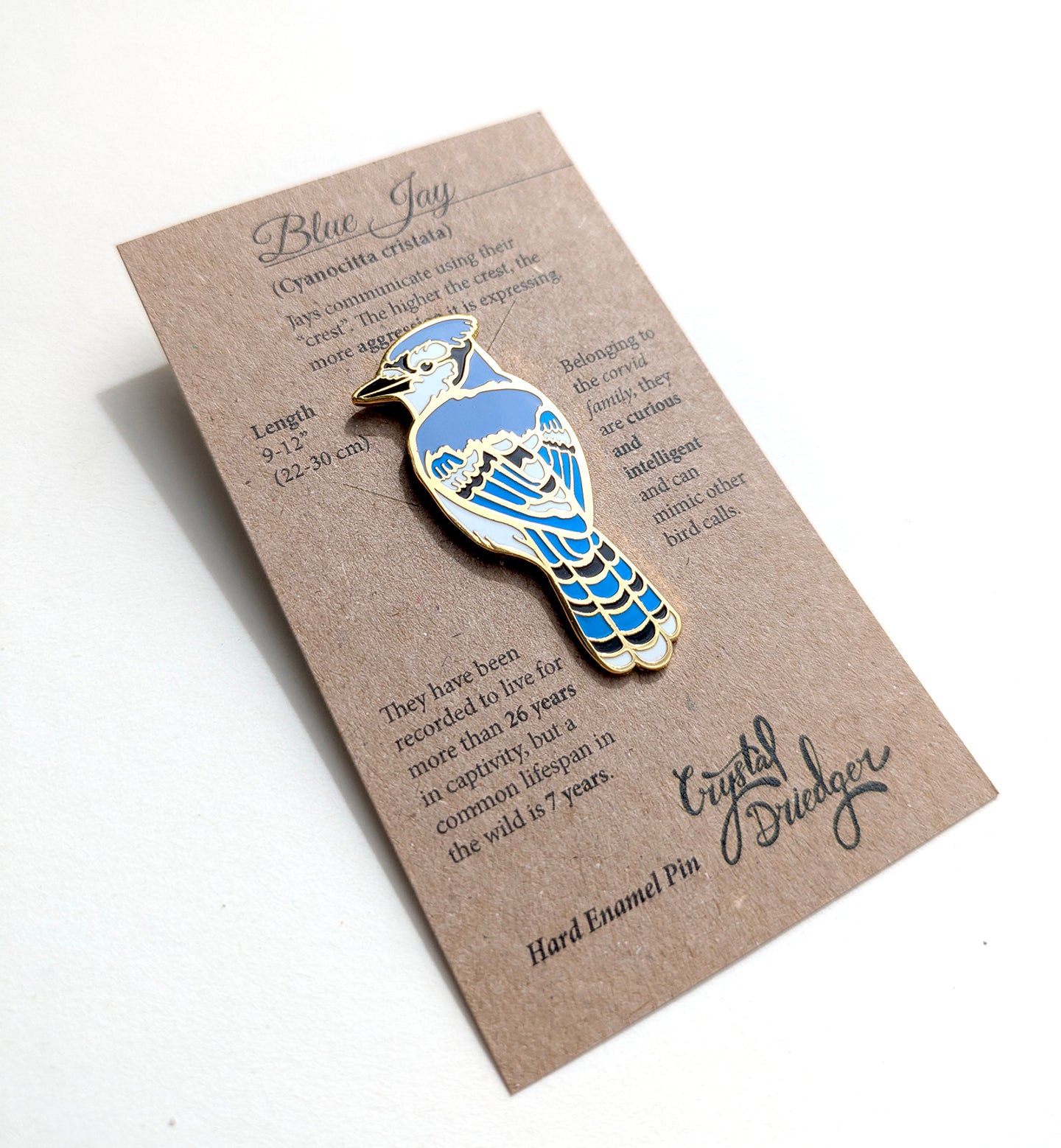 Blue Jay - hard enamel Pin in Gold
