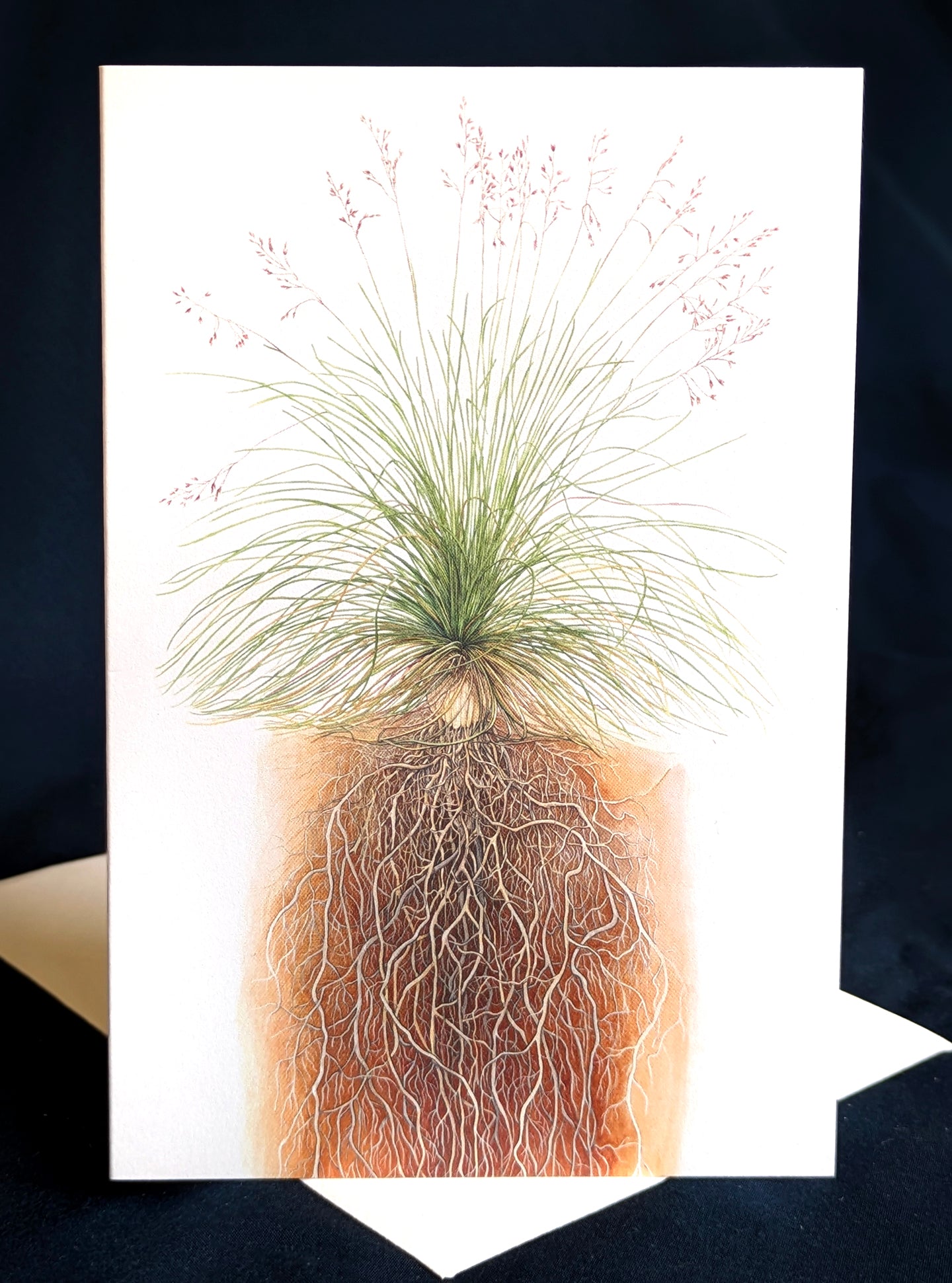 Fescue Grass Art Card