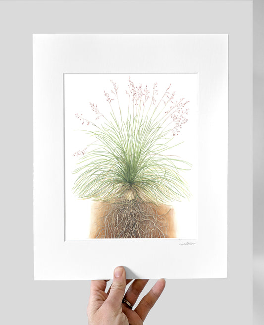 Fescue Giclee Print