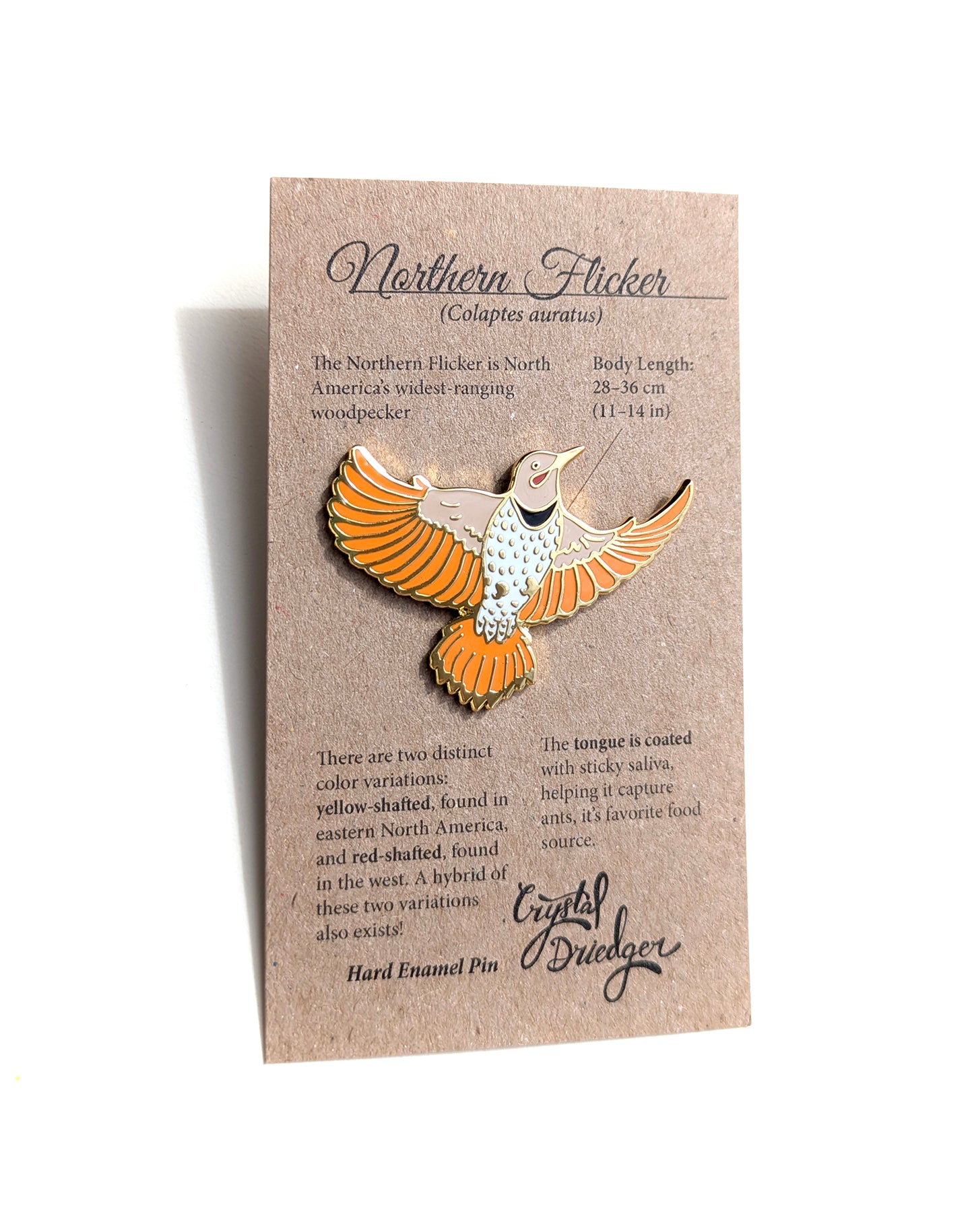Northern Flicker Red- hard enamel Pin in Gold