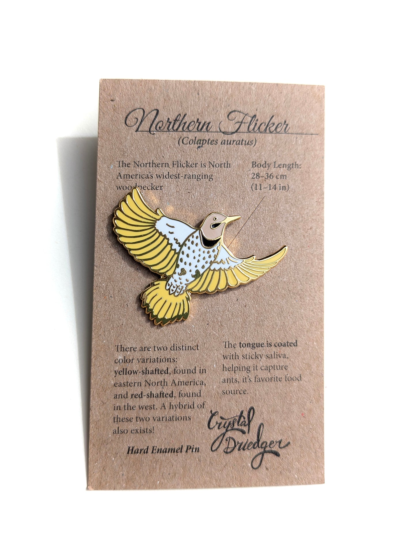 Northern Flicker Yellow- hard enamel Pin in Gold