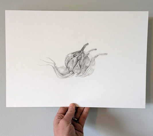 Garlic Study