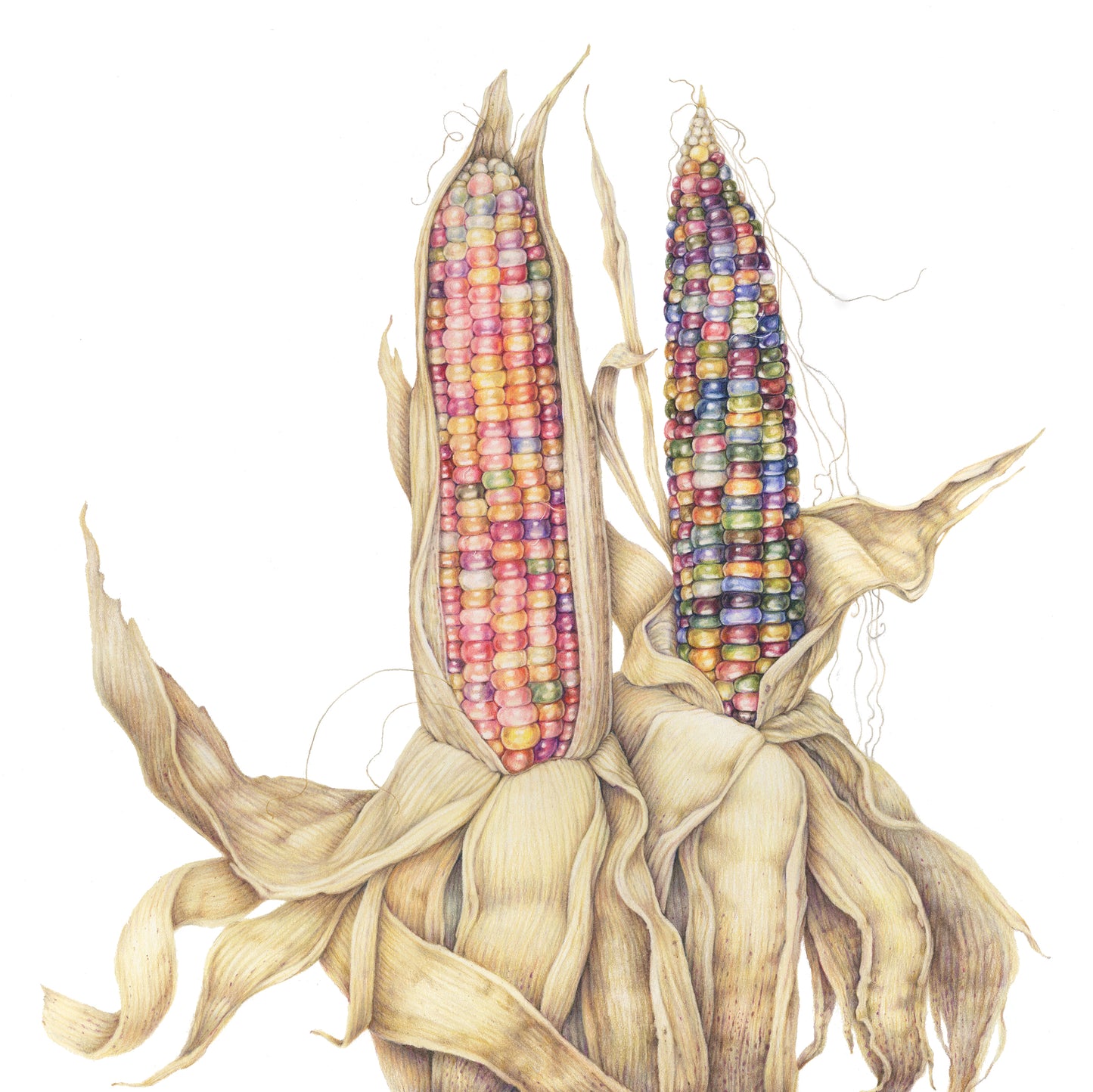 Glass Gem Corn (Framed)