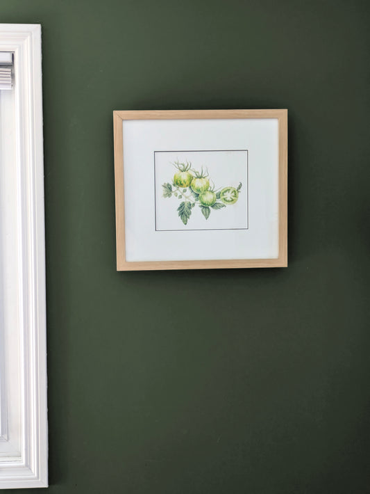 Green Zebra Tomato (Framed)