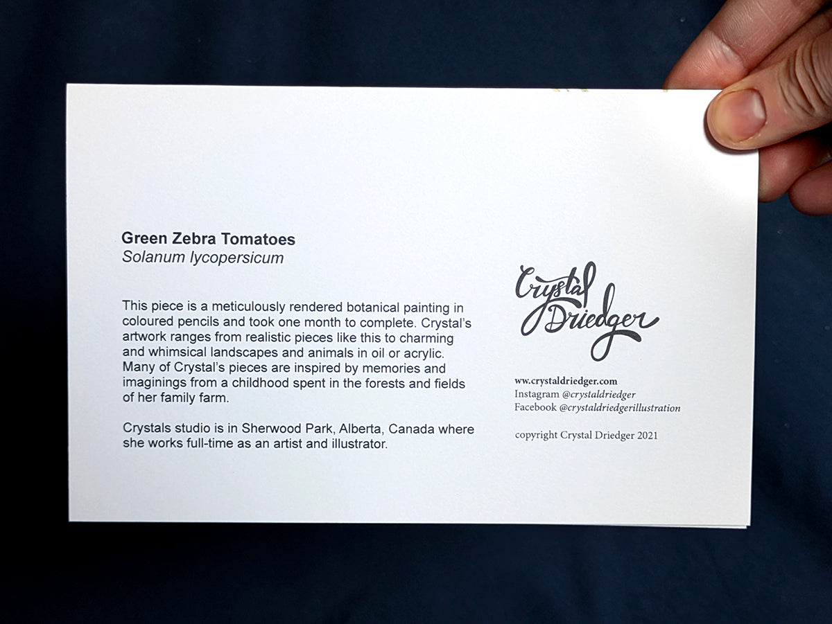 Green Zebra Tomato Art Card (Blank Inside) Note Card