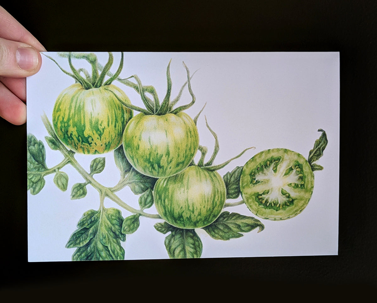 Green Zebra Tomato Art Card (Blank Inside) Note Card