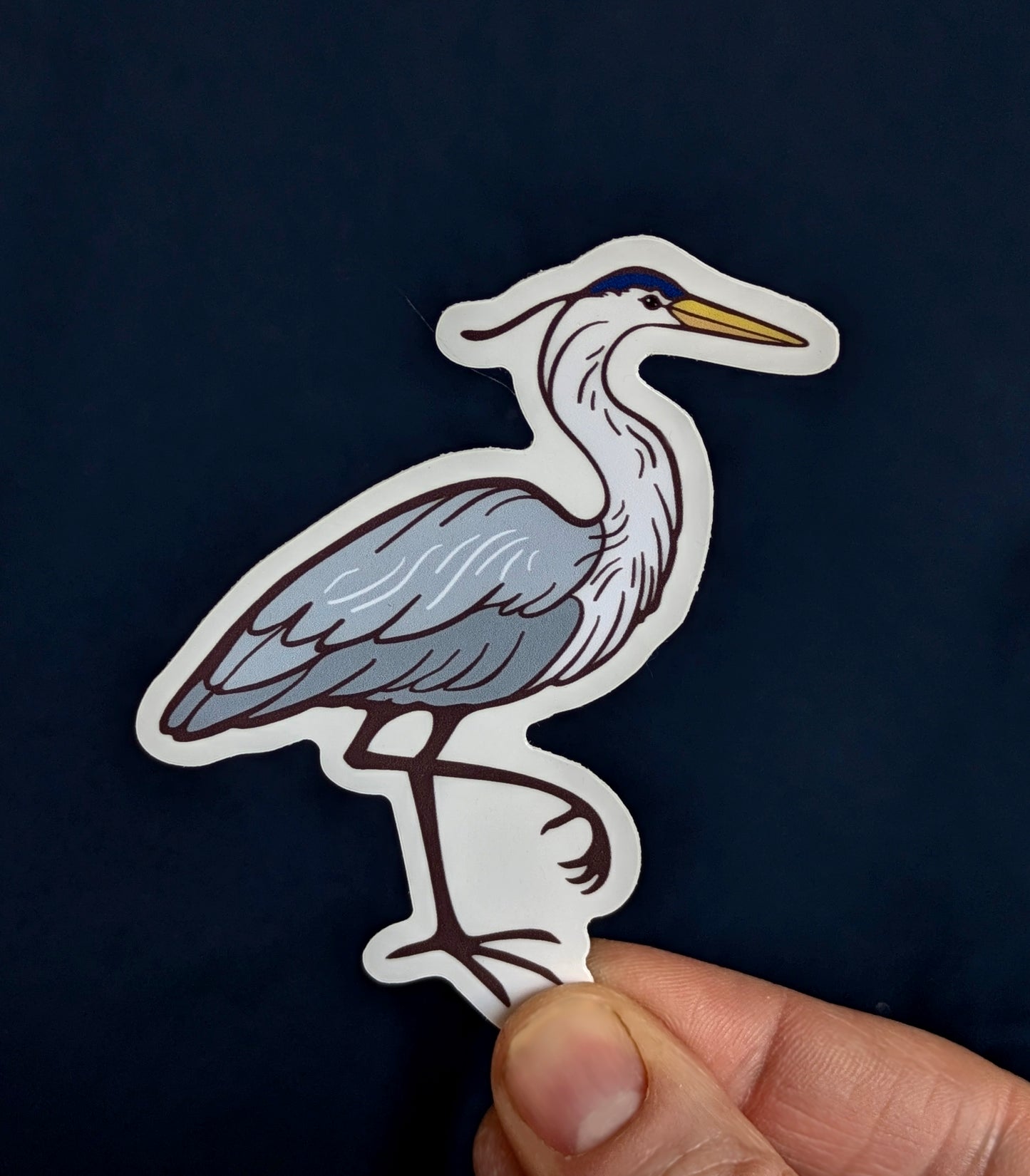Great Blue Heron Sticker