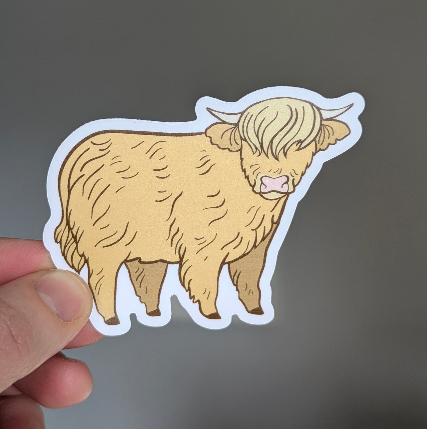Highland Cow Sticker