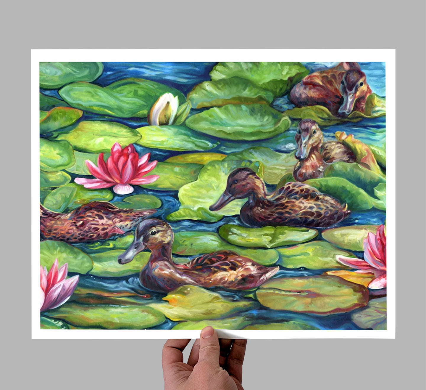 Lily Padding Giclee Print