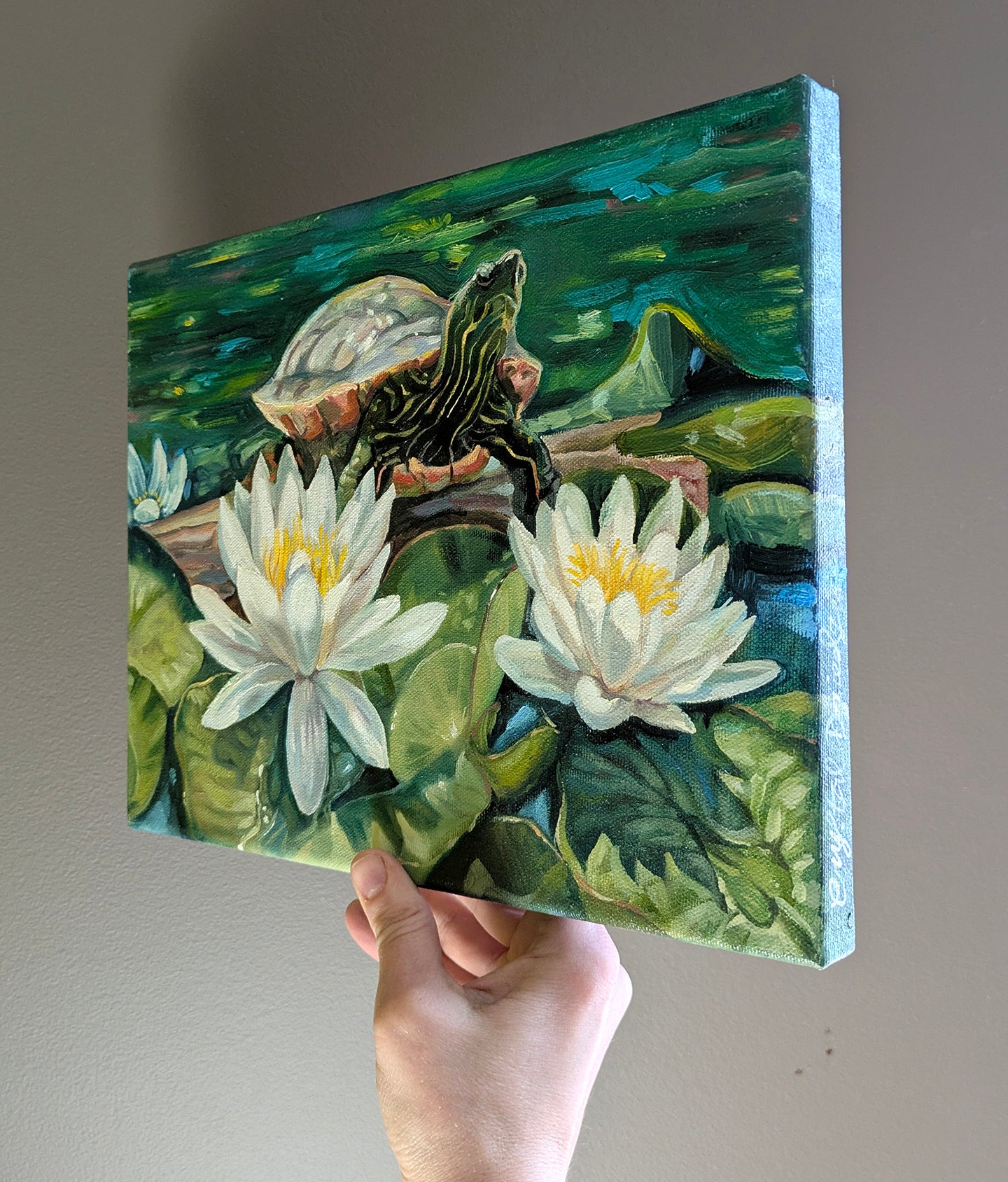 Painted Turtle Sunbathing