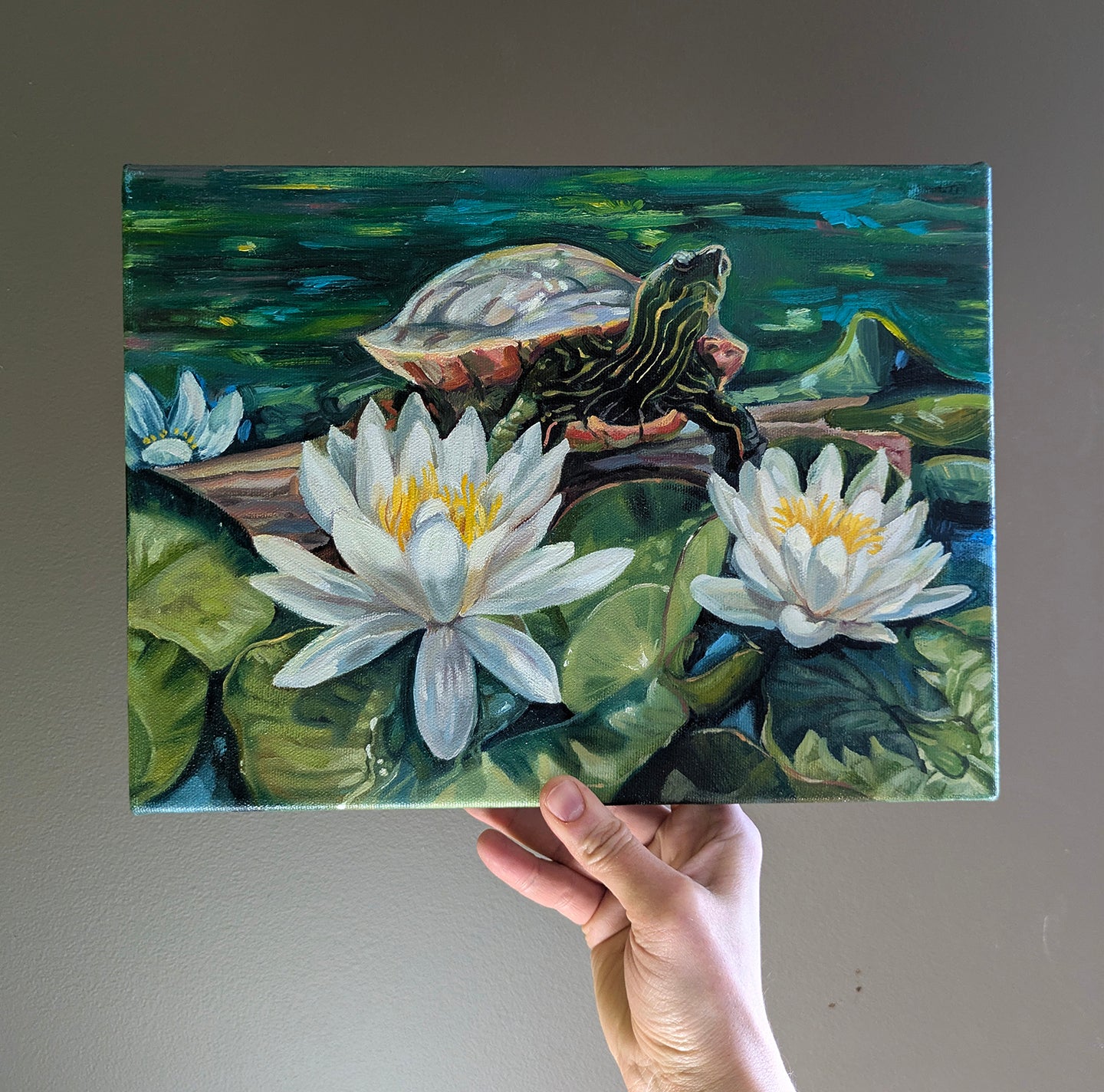 Painted Turtle Sunbathing