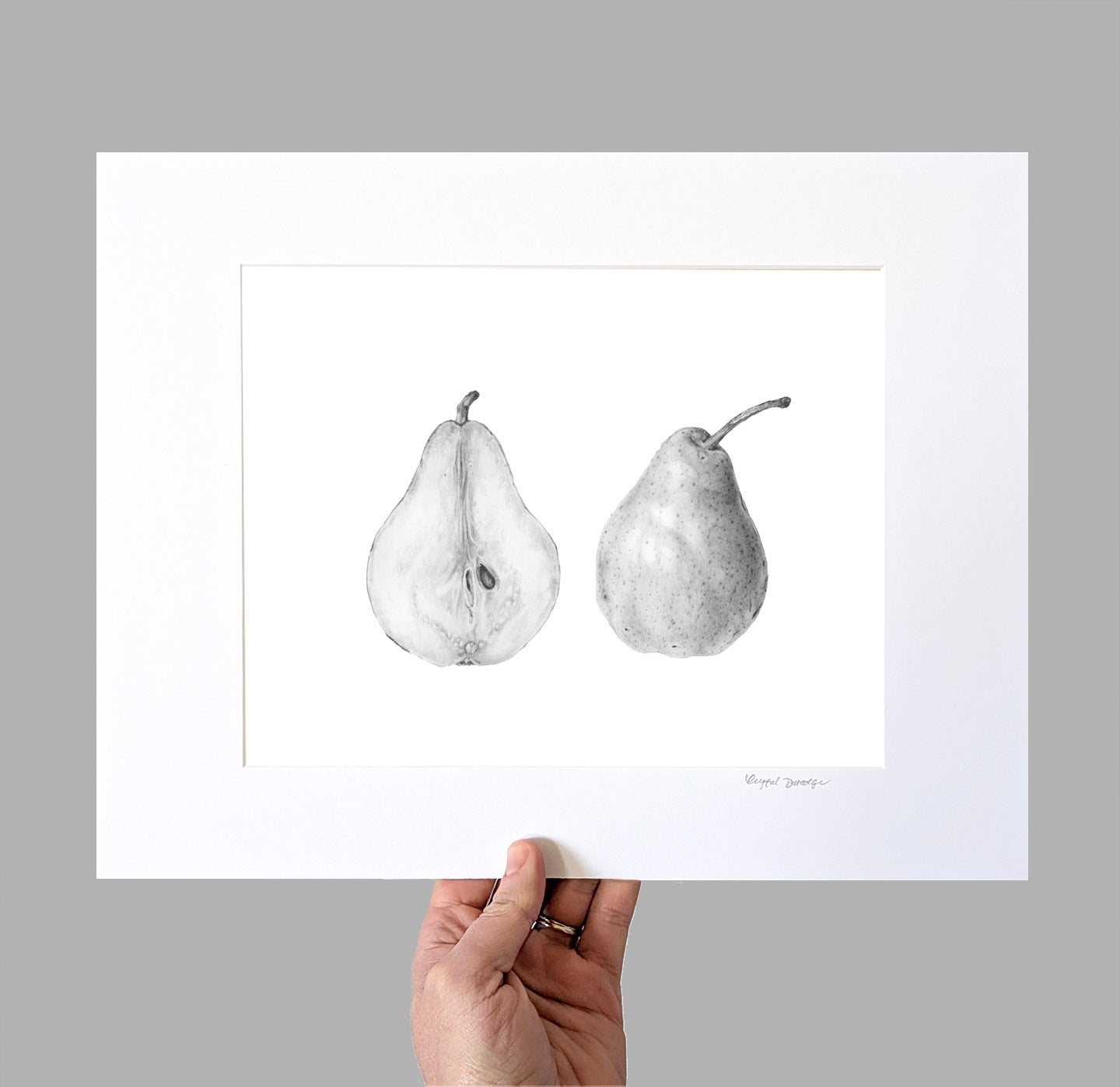 Pear Study Giclee Print