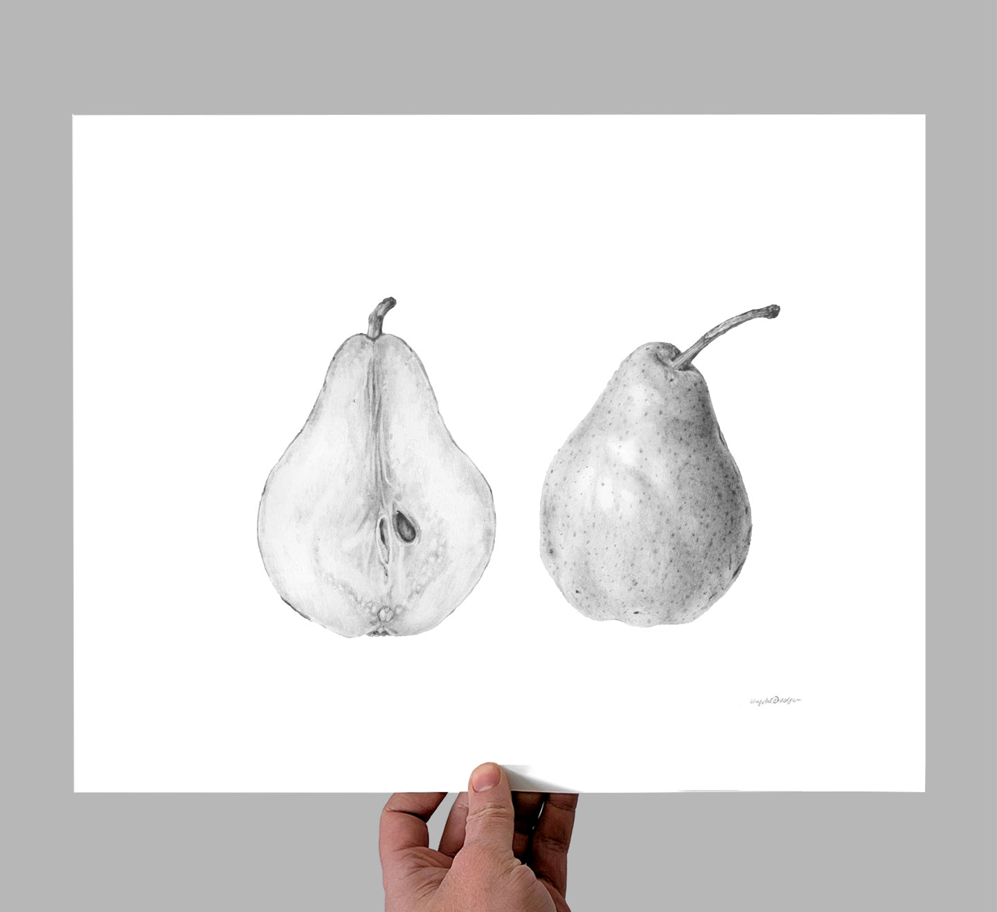 Pear Study Giclee Print