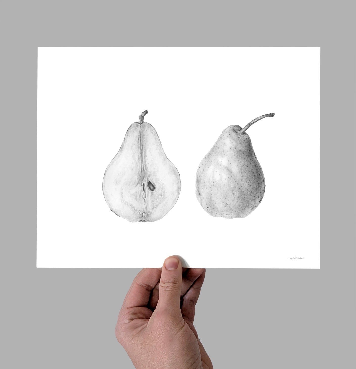 Pear Study Giclee Print