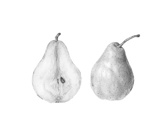 Pear Study