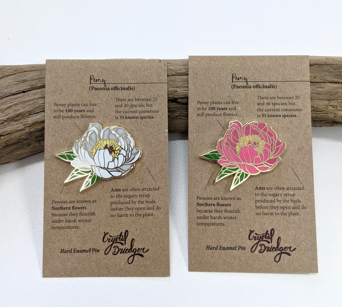 Peony (3 color variations) - hard enamel Pin in Gold