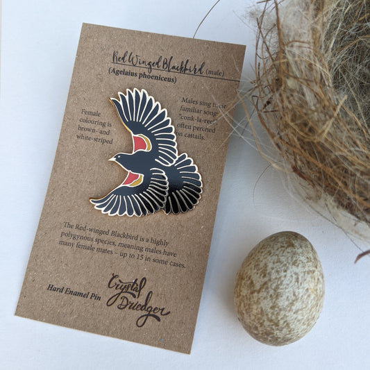 Red Winged Blackbird - hard enamel Pin in Gold