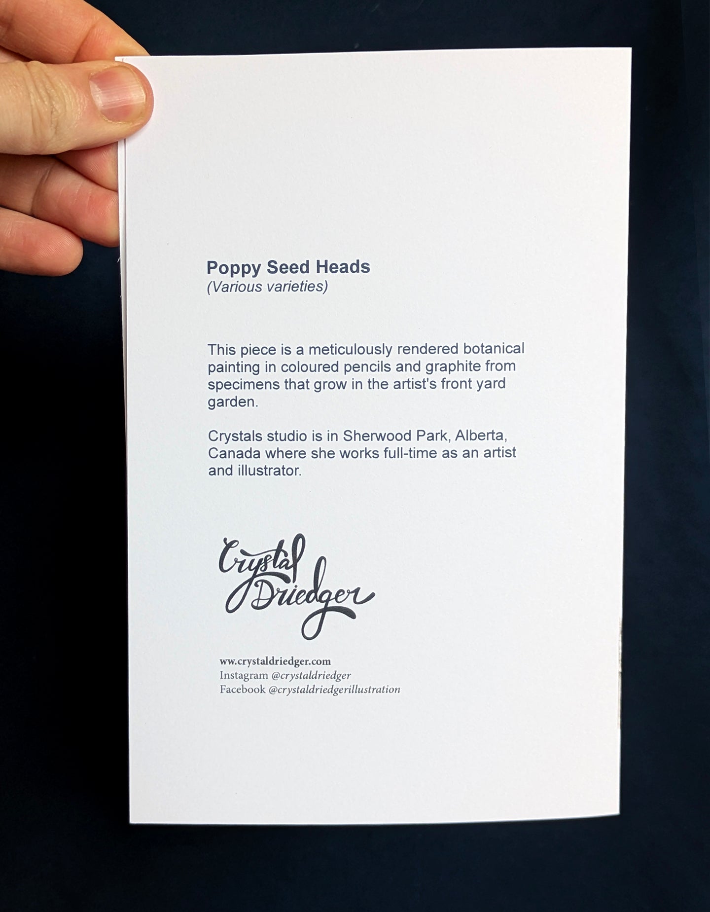 Poppy Seed Heads Card