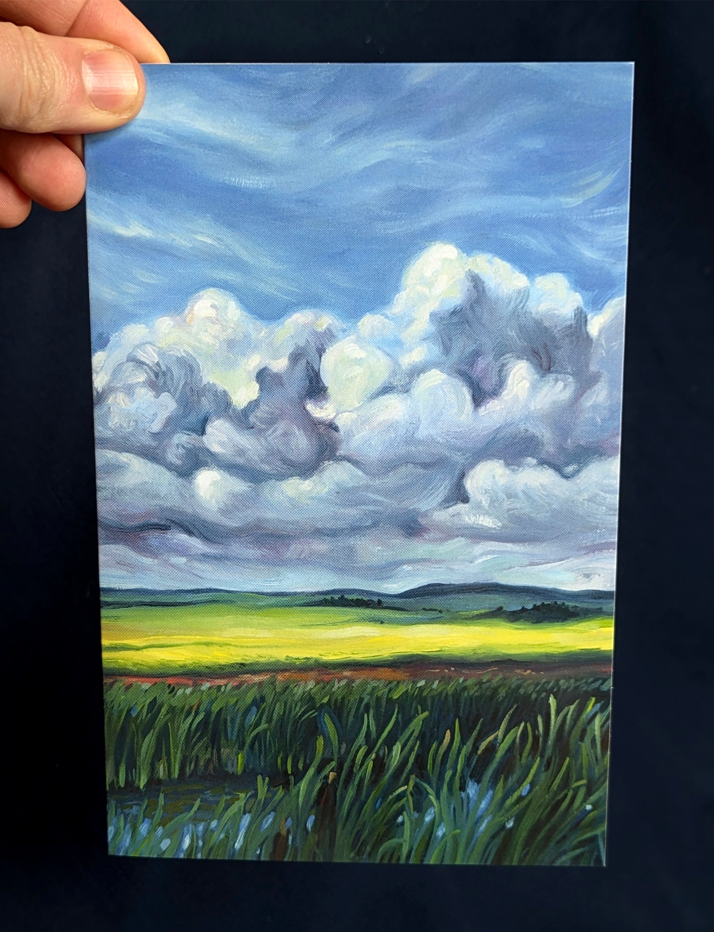 Prairie Storm Arrival Art Card