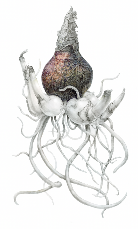 Patience and Persistence