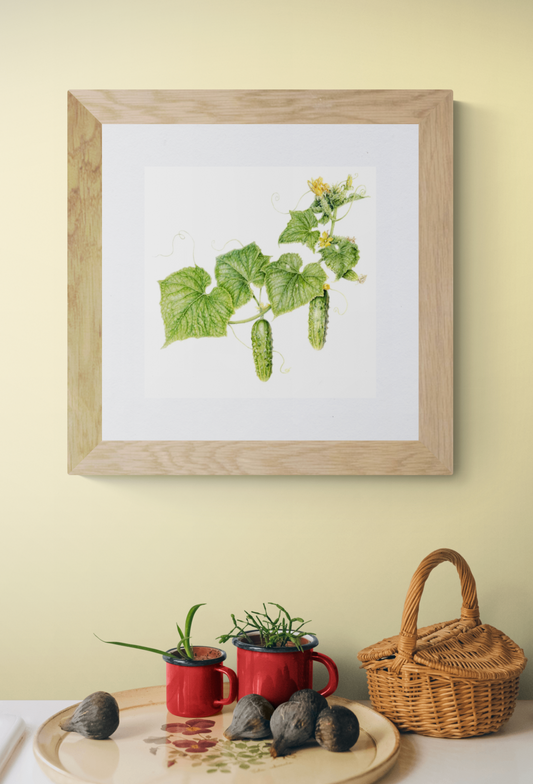 Early Fortune Cucumber