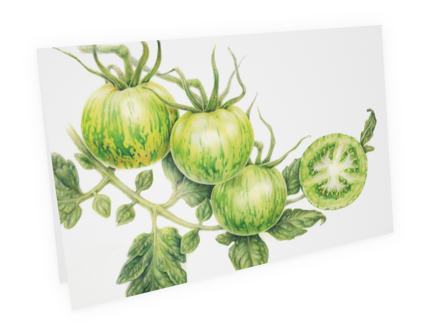 Green Zebra Tomato Art Card (Blank Inside) Note Card
