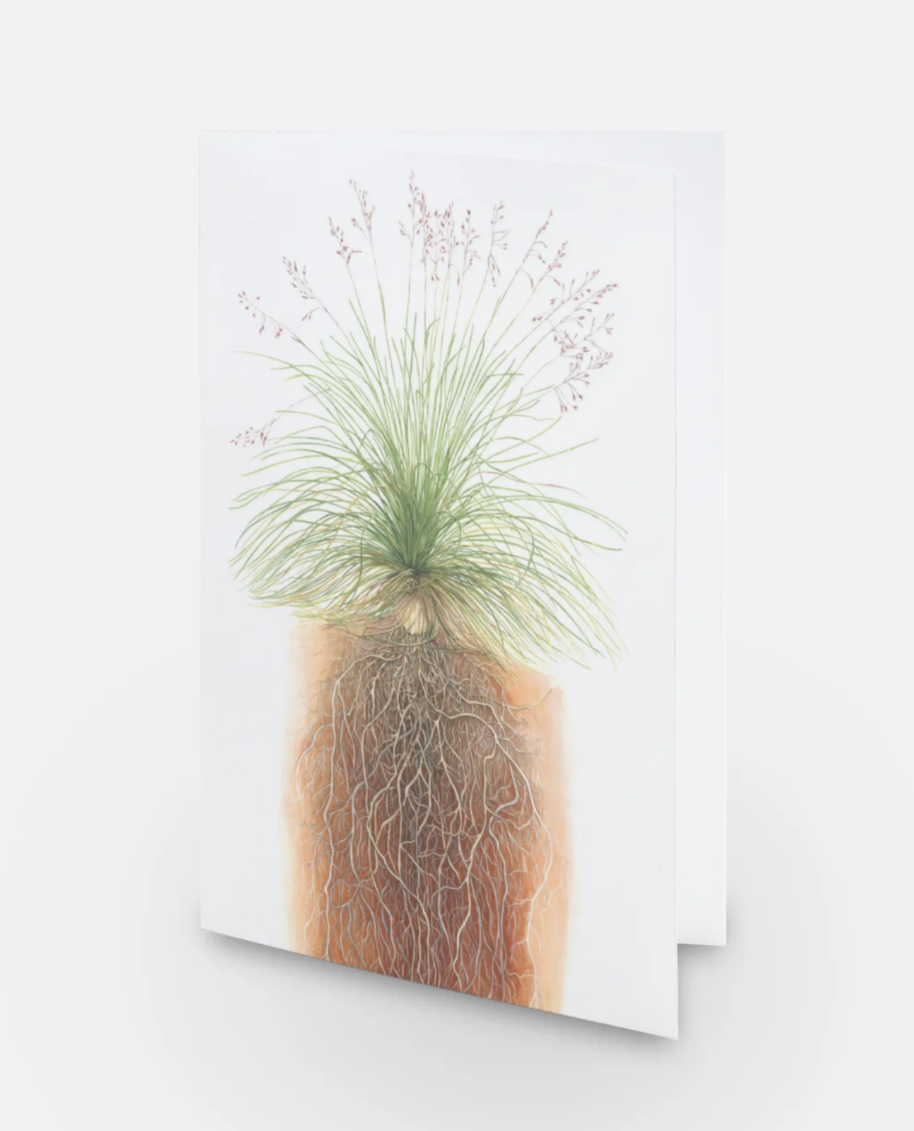 Fescue Grass Art Card