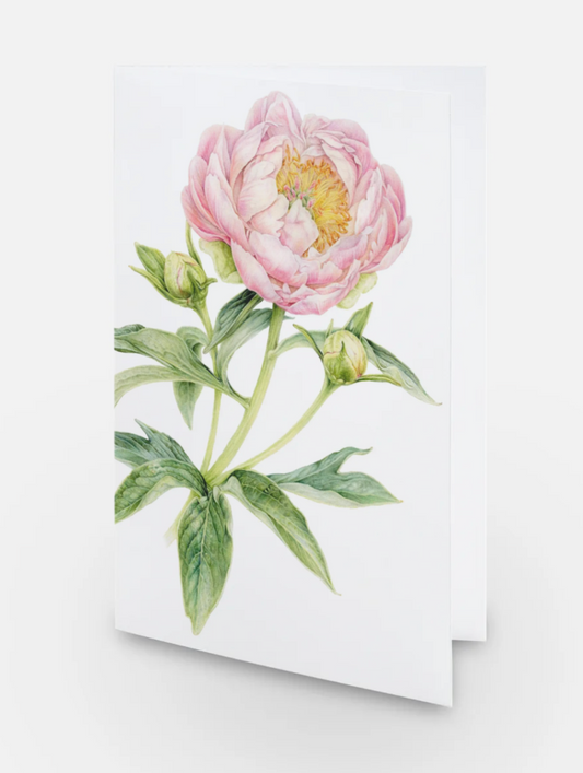 Abalone Pearl Peony Card