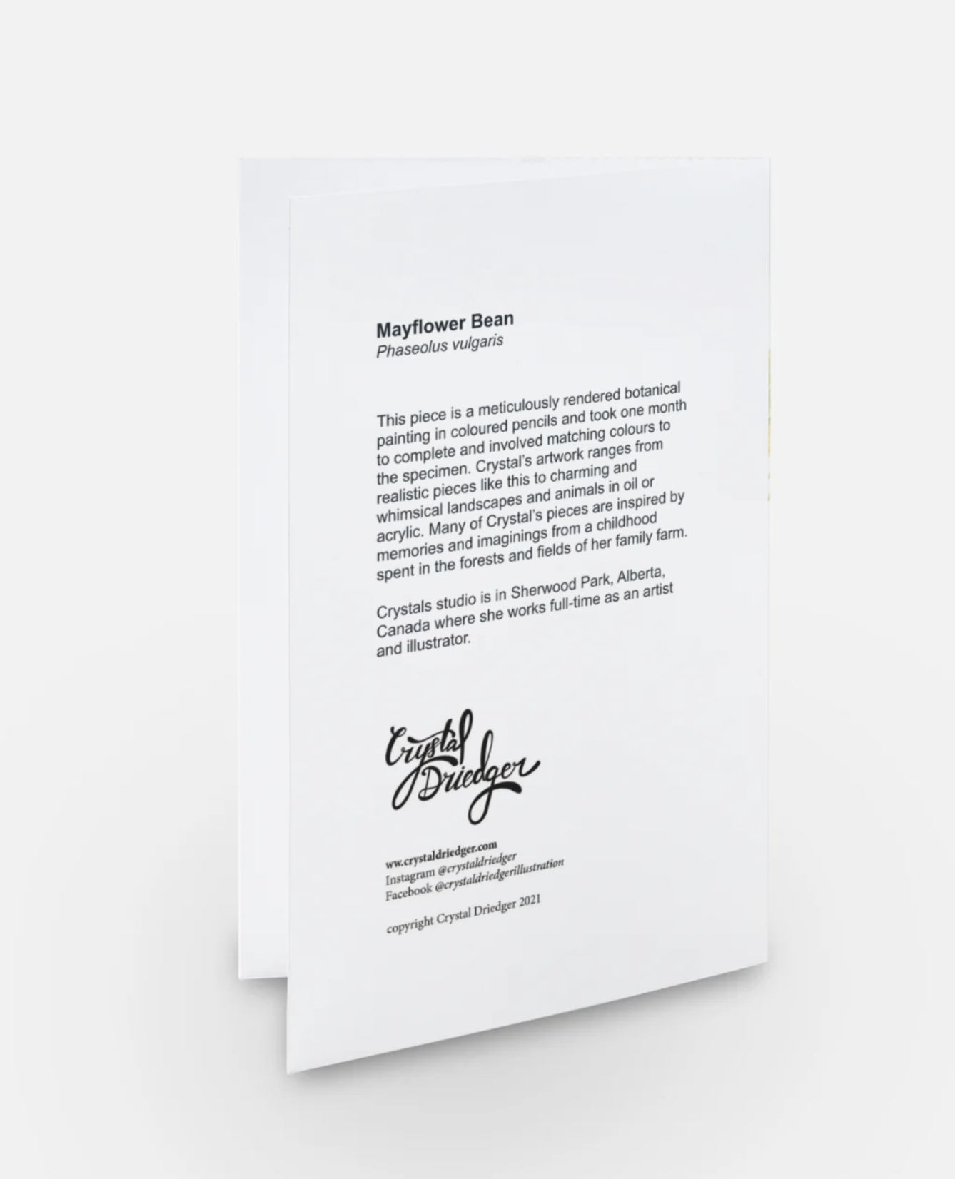 Mayflower Bean Art Card