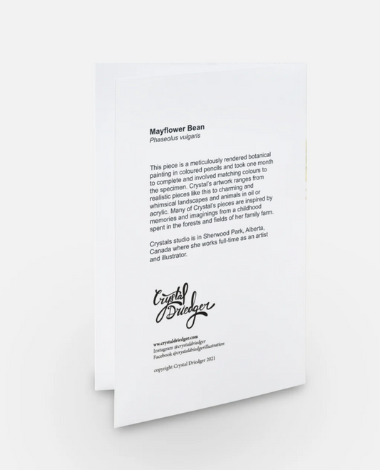 Mayflower Bean Art Card