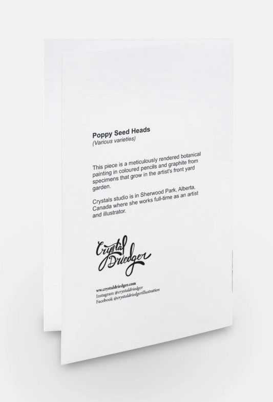 Poppy Seed Heads Card