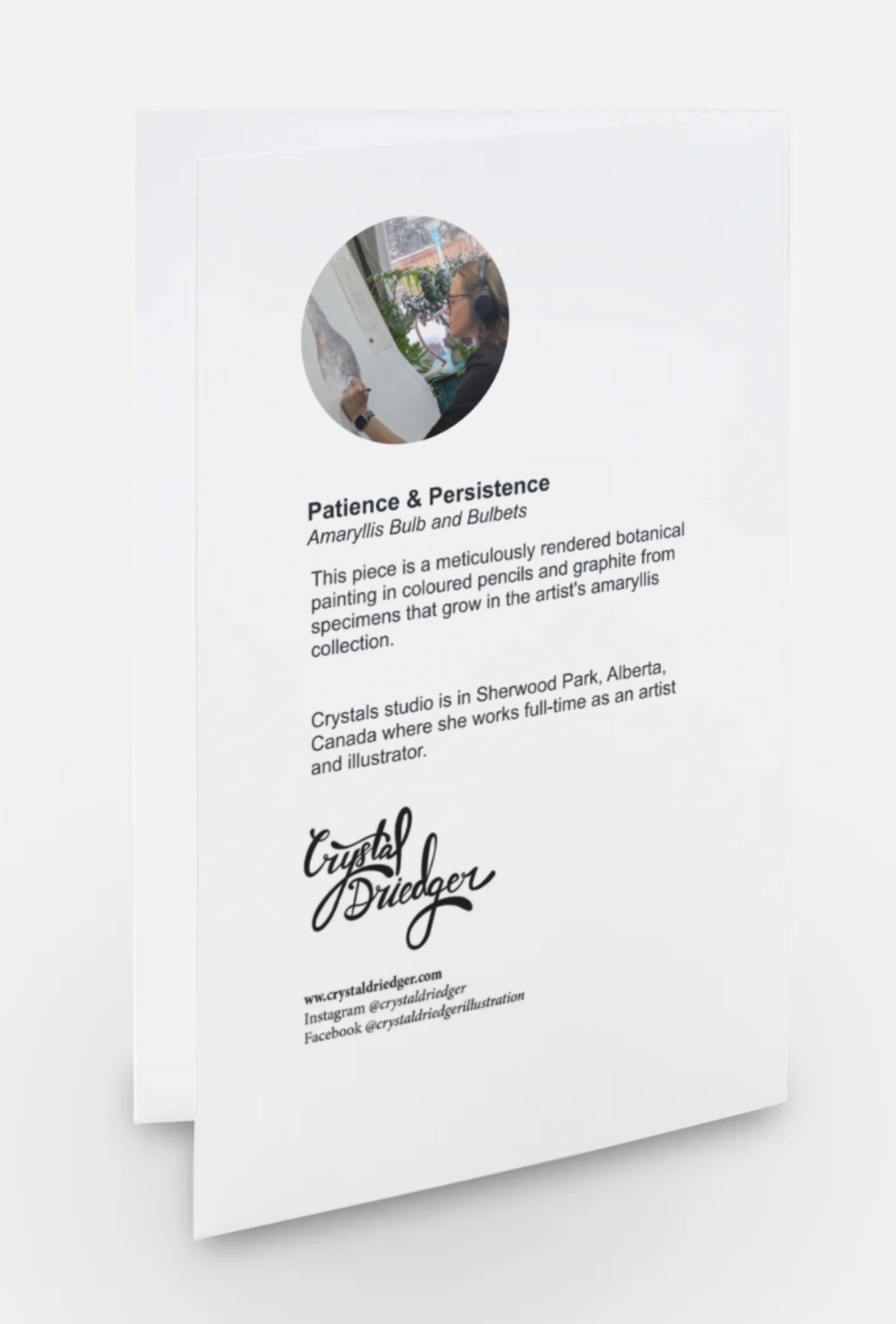 Patience and Persistence (Amaryllis Bulb) Card