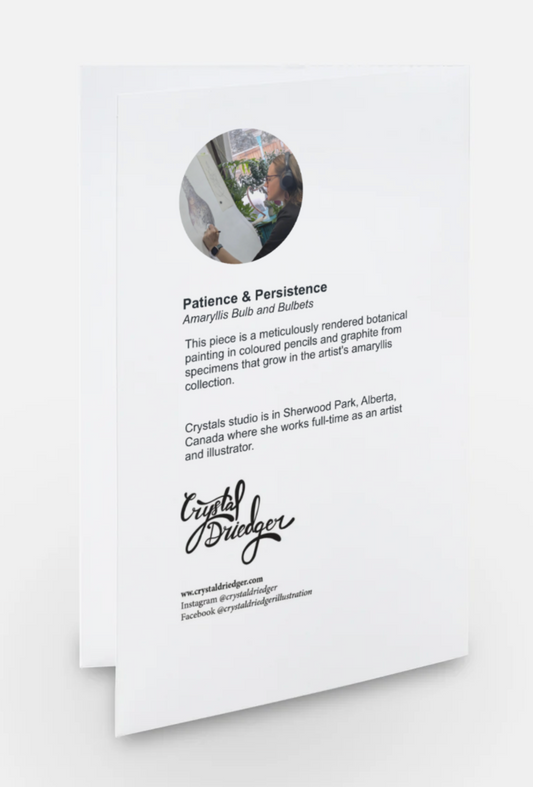 Patience and Persistence (Amaryllis Bulb) Card